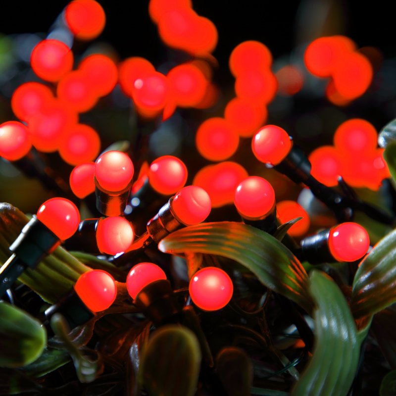 Red Berry Lights